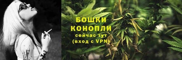 ГАЛЛЮЦИНОГЕННЫЕ ГРИБЫ Инсар