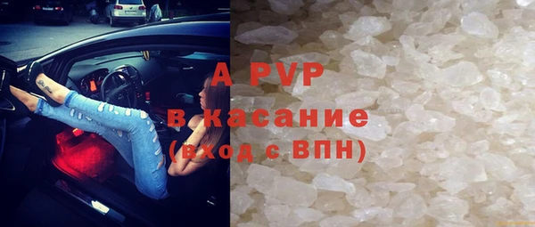 ПСИЛОЦИБИНОВЫЕ ГРИБЫ Инта