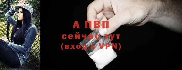 ПСИЛОЦИБИНОВЫЕ ГРИБЫ Инта