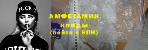 ПСИЛОЦИБИНОВЫЕ ГРИБЫ Инта
