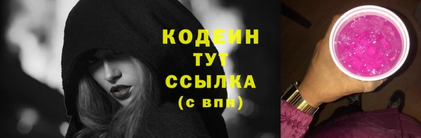 ПСИЛОЦИБИНОВЫЕ ГРИБЫ Инта