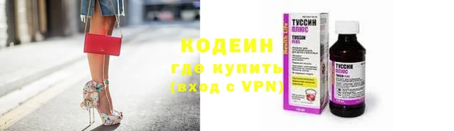 ГАЛЛЮЦИНОГЕННЫЕ ГРИБЫ Инсар