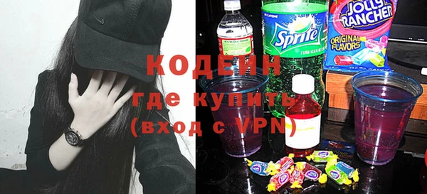 ГАЛЛЮЦИНОГЕННЫЕ ГРИБЫ Инсар