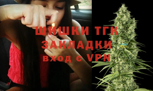 ПСИЛОЦИБИНОВЫЕ ГРИБЫ Инта