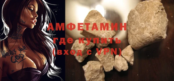 ГАЛЛЮЦИНОГЕННЫЕ ГРИБЫ Инсар