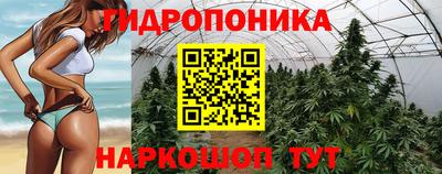 мяу мяу мука Гусев