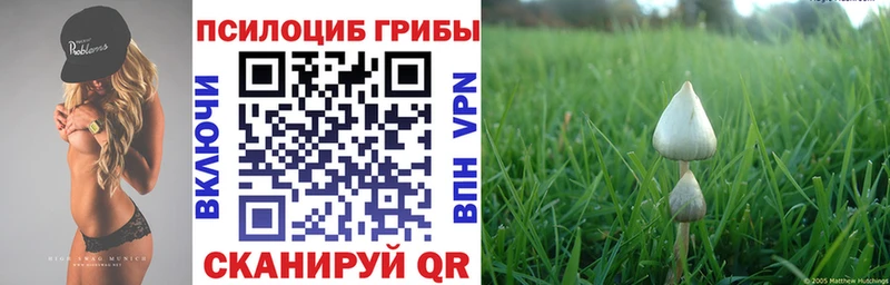 Галлюциногенные грибы MAGIC MUSHROOMS  Егорьевск 