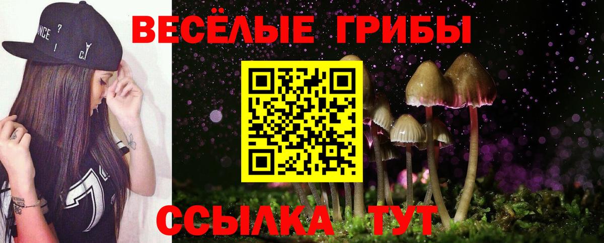 Псилоцибиновые грибы Magic Shrooms Егорьевск